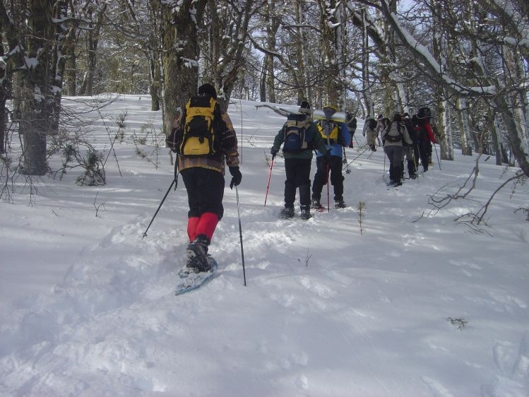 Caminatas invernales con raquetas de nieve